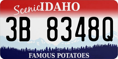 ID license plate 3B8348Q