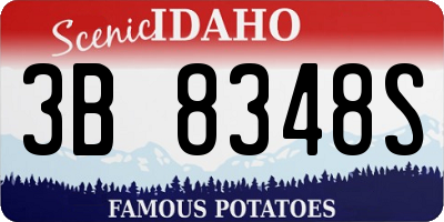 ID license plate 3B8348S