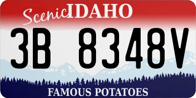 ID license plate 3B8348V