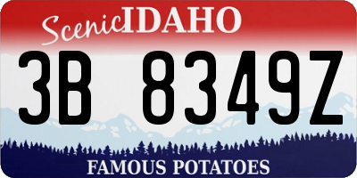 ID license plate 3B8349Z