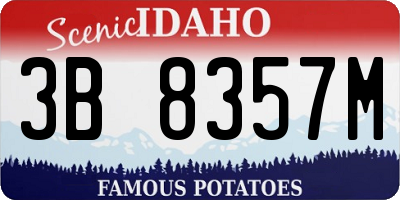 ID license plate 3B8357M
