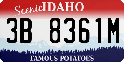 ID license plate 3B8361M
