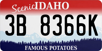 ID license plate 3B8366K