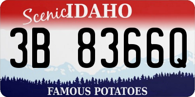 ID license plate 3B8366Q