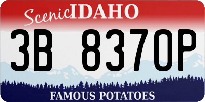 ID license plate 3B8370P