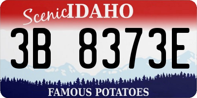 ID license plate 3B8373E