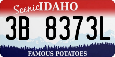 ID license plate 3B8373L