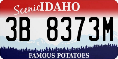 ID license plate 3B8373M