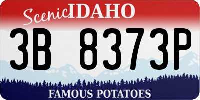 ID license plate 3B8373P