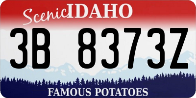 ID license plate 3B8373Z