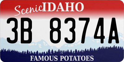ID license plate 3B8374A