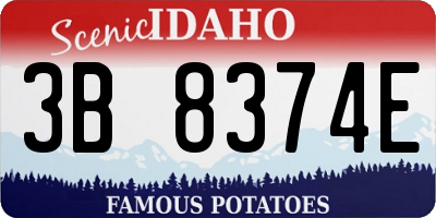 ID license plate 3B8374E