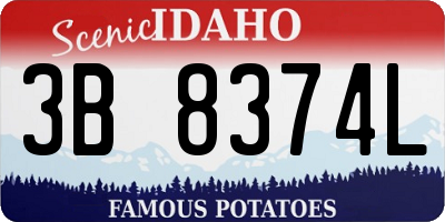 ID license plate 3B8374L