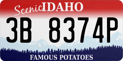 ID license plate 3B8374P