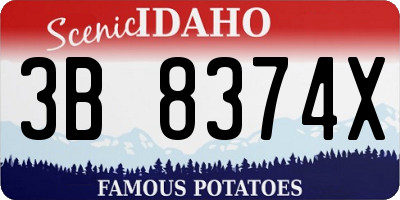 ID license plate 3B8374X
