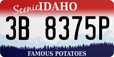 ID license plate 3B8375P