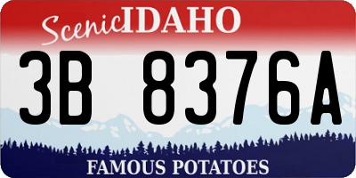 ID license plate 3B8376A