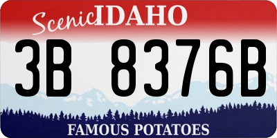 ID license plate 3B8376B