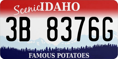 ID license plate 3B8376G