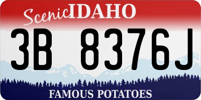 ID license plate 3B8376J