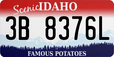 ID license plate 3B8376L