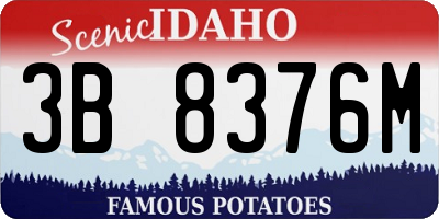 ID license plate 3B8376M