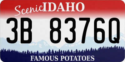 ID license plate 3B8376Q
