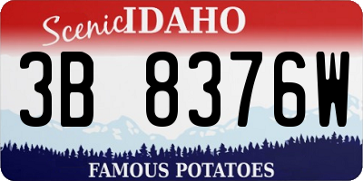 ID license plate 3B8376W