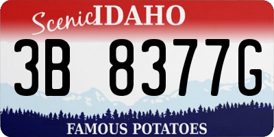 ID license plate 3B8377G