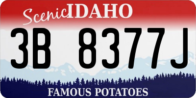 ID license plate 3B8377J