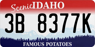 ID license plate 3B8377K