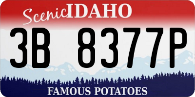 ID license plate 3B8377P