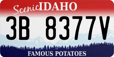 ID license plate 3B8377V