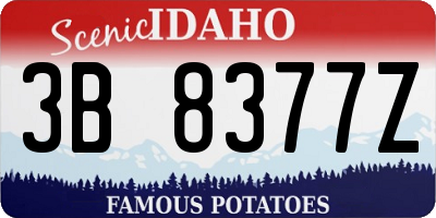 ID license plate 3B8377Z