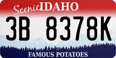 ID license plate 3B8378K