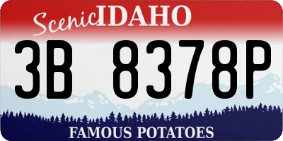 ID license plate 3B8378P