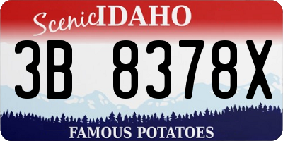 ID license plate 3B8378X