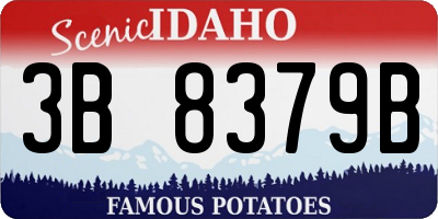 ID license plate 3B8379B