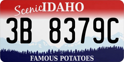 ID license plate 3B8379C