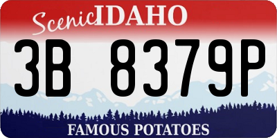 ID license plate 3B8379P
