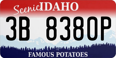 ID license plate 3B8380P