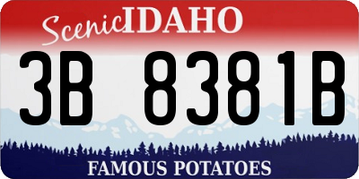 ID license plate 3B8381B
