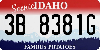 ID license plate 3B8381G