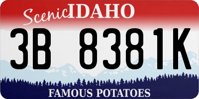 ID license plate 3B8381K