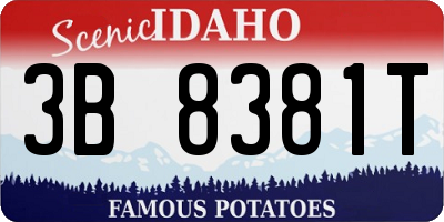 ID license plate 3B8381T