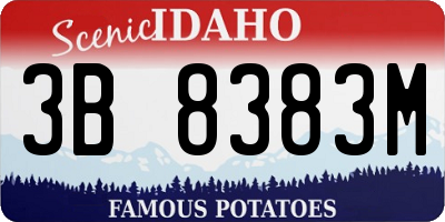 ID license plate 3B8383M