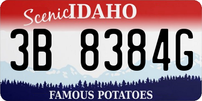 ID license plate 3B8384G