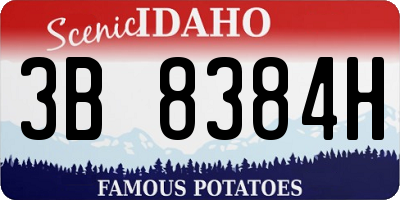 ID license plate 3B8384H