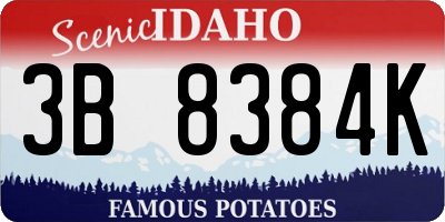 ID license plate 3B8384K