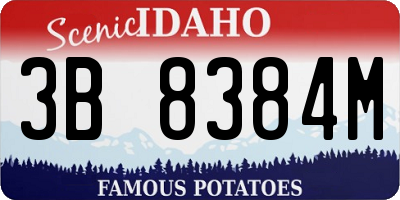 ID license plate 3B8384M